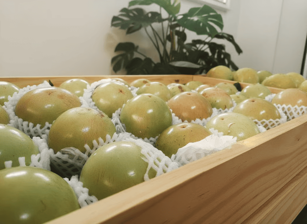 Thưởng thức ngay đặc sản v&uacute; sữa L&ograve; R&egrave;n, Vĩnh Kim